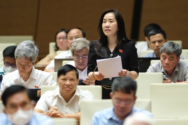 ĐBQH ĐOÀN THỊ THANH MAI: ĐẢM BẢO TÍNH NGHIÊM MINH VÀ RĂN ĐE TRONG XỬ LÝ CÁC VỤ VIỆC BẠO LỰC GIA ĐÌNH